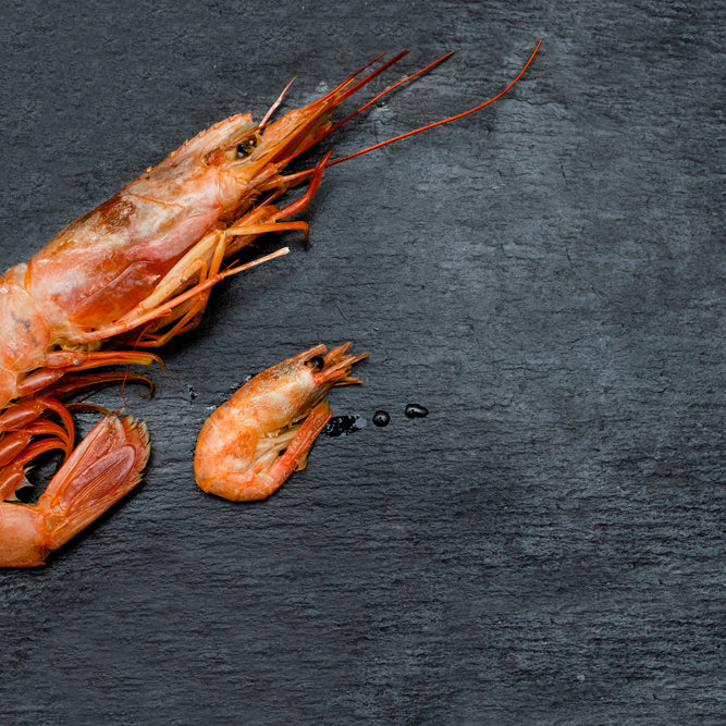 How to Pick the Perfect Sized Prawn
