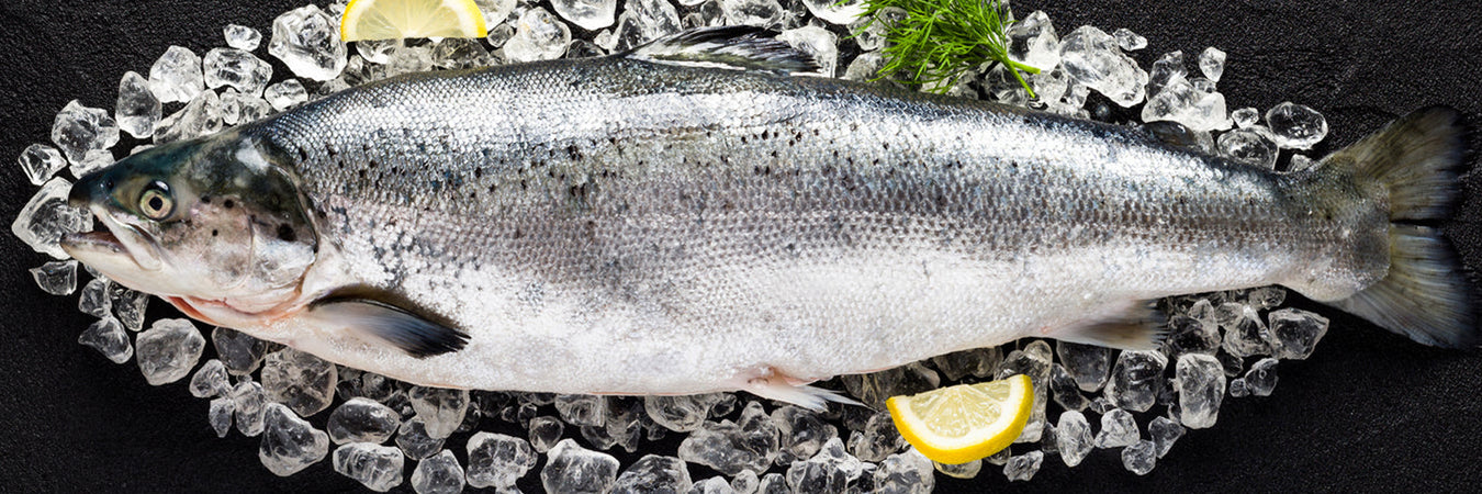Fresh Whole Fish, Fillets, Cutlets Banner