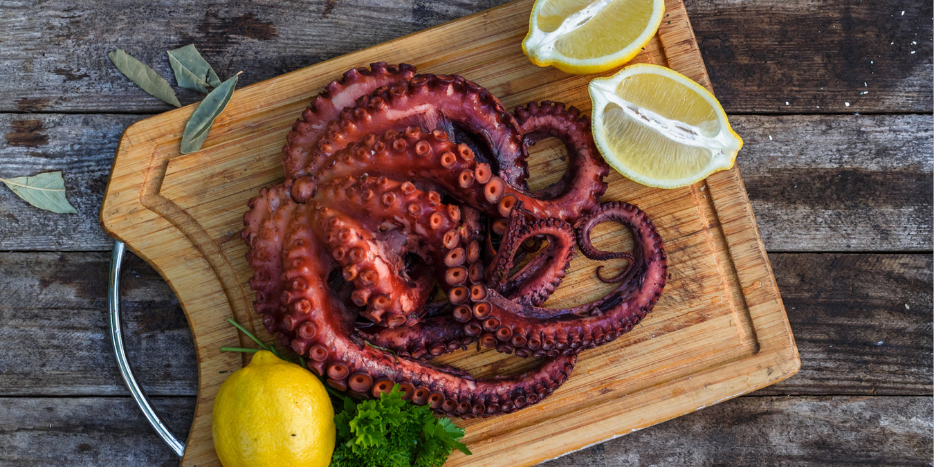 Octopus and Squid