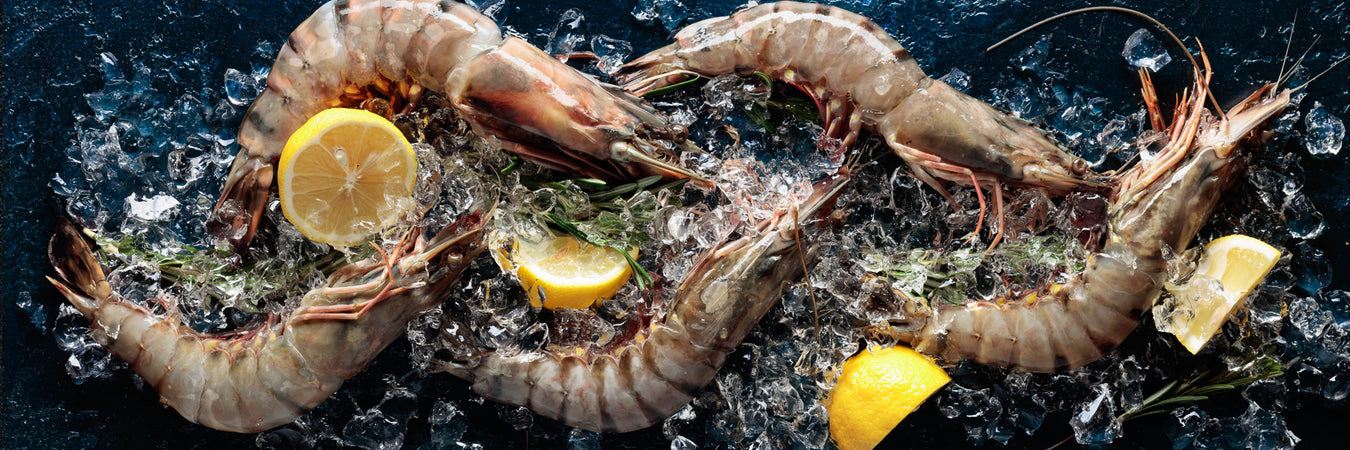 Prawns and Scampi Banner