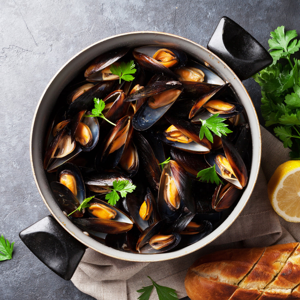 Shellfish banner with clams, mussels, oysters