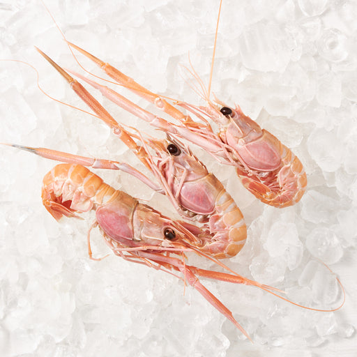 Jumbo WA Scampi No. 1 per 1kg (Frozen)