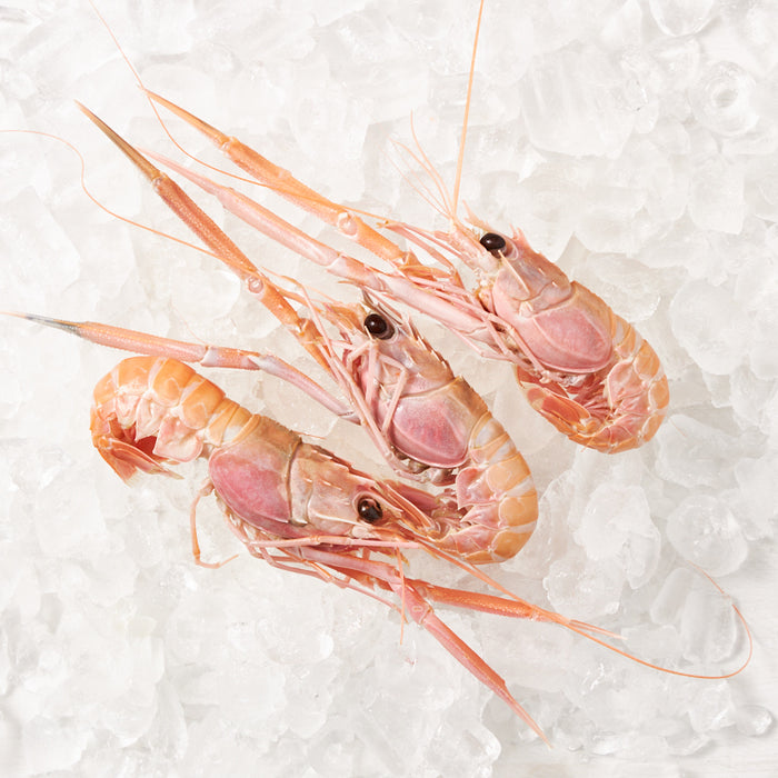 Jumbo WA Scampi No. 1 per 1kg (Frozen)