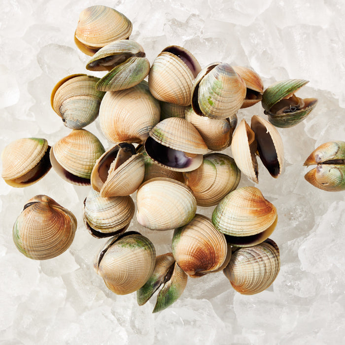 NZ Little Neck Clams per 1kg (Frozen)