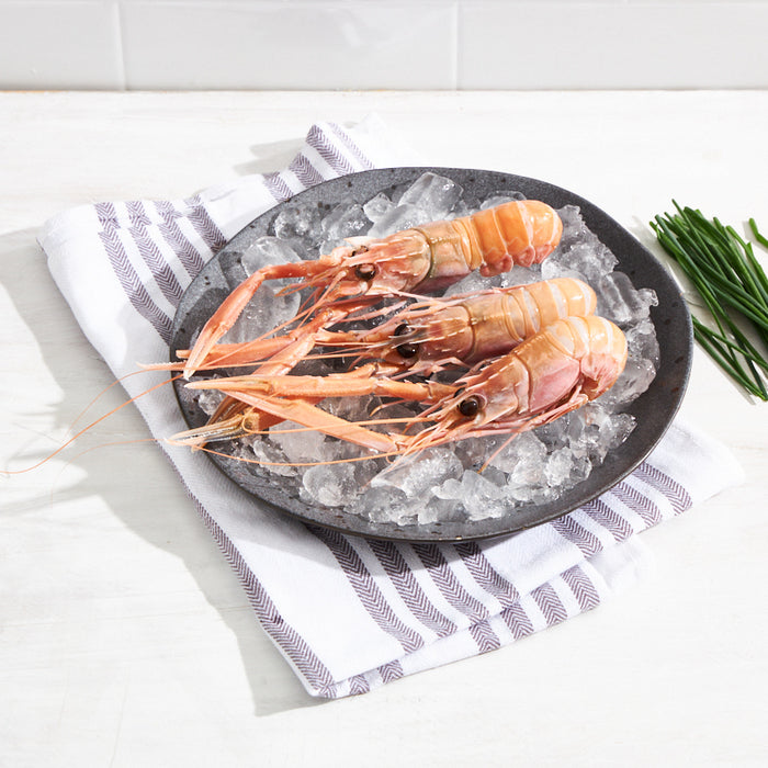 fresh Australian Scampi No. 2 Sashimi-grade