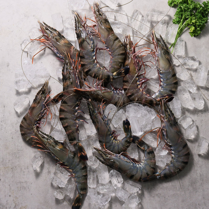 a serving of fresh raw jumbo Raw Black Australian Tiger Prawns