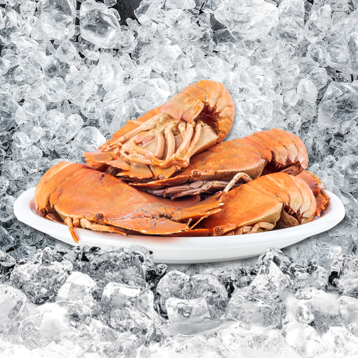 Fresh Cooked Balmain Bugs per kg