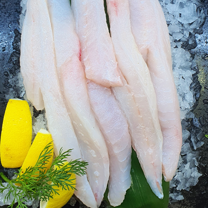 Wild-Caught Flathead Fillet (Frozen) per kg
