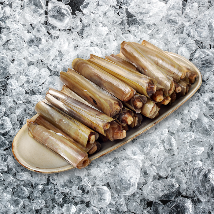 Holland Razor Clams (Frozen) per kg