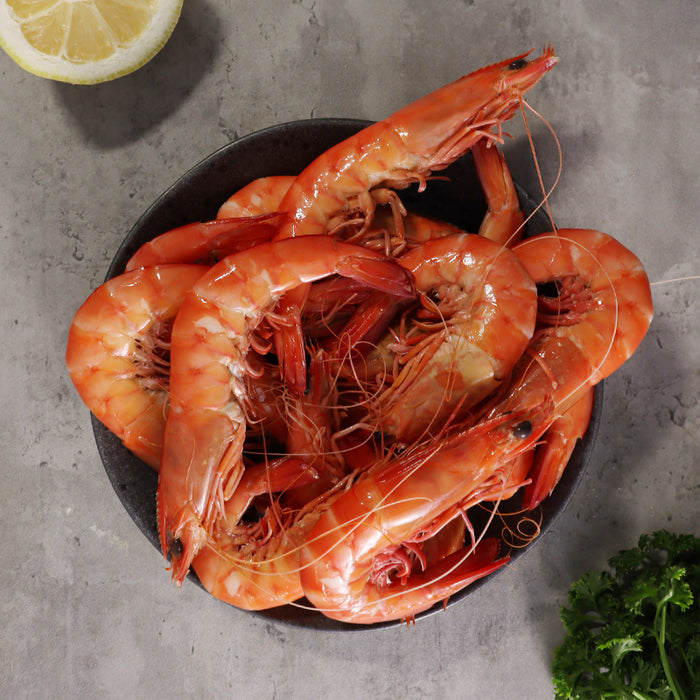Jumbo Australian U10 Cooked King Prawns (Frozen)