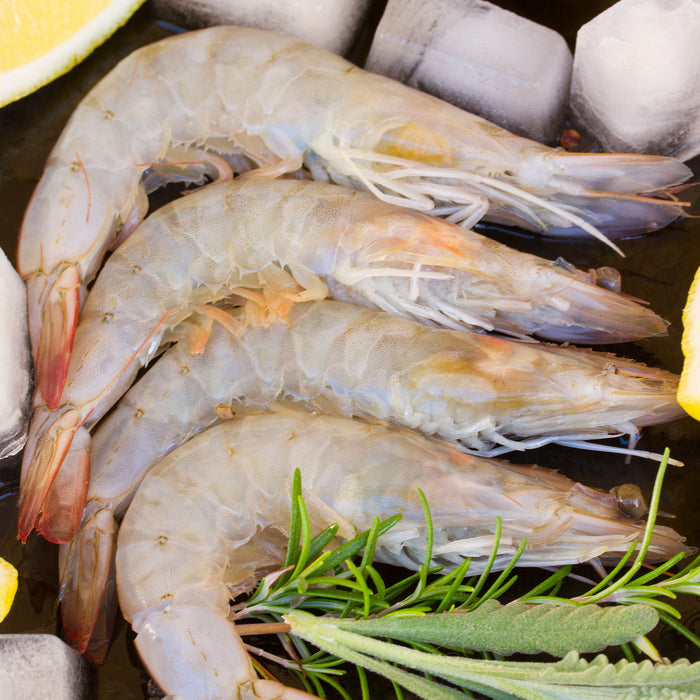 Australian King Prawns Raw