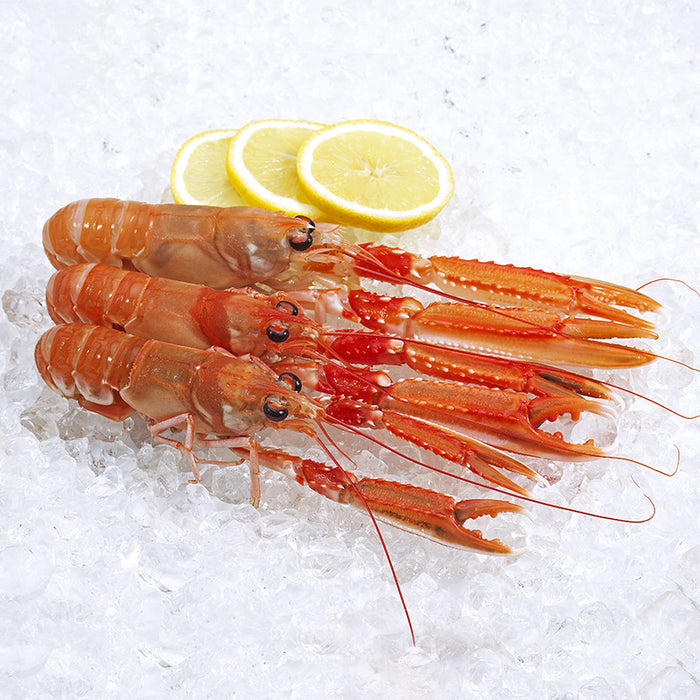 Sashimi Grade NZ Scampi No. 3 per kg (Frozen)