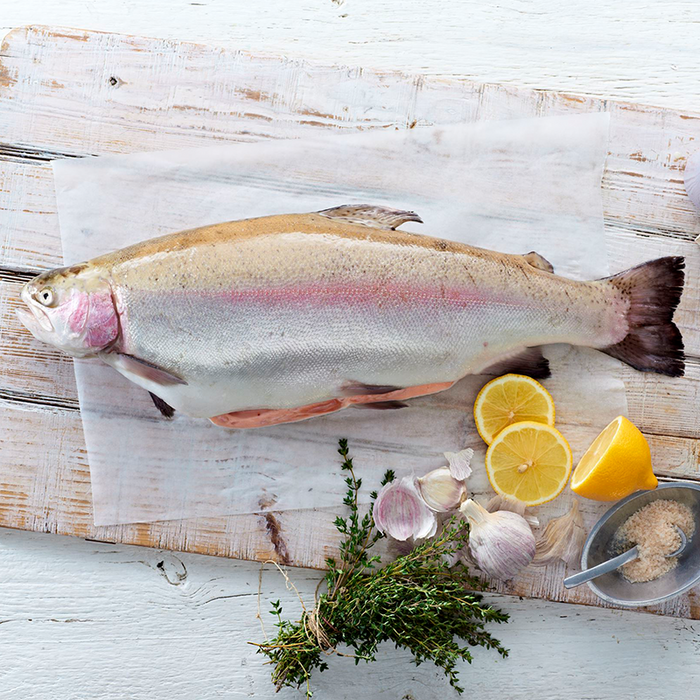 Fresh Whole Ocean Trout Sashimi Grade 4kg