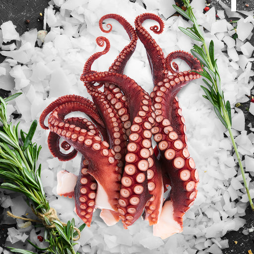 Squid Tentacles 1kg (Frozen)