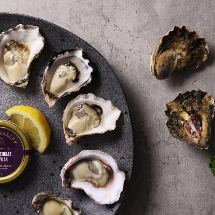 Nambucca Sydney Rock Oysters Medium Shucked per dozen