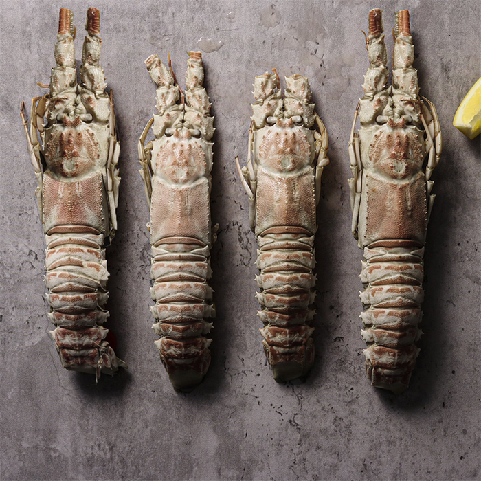 fresh Champagne Lobsters