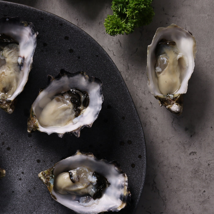St. Helen's Shucked Pacific Oysters Premium per doz
