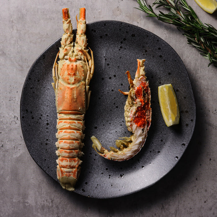 cooked Champagne Lobster