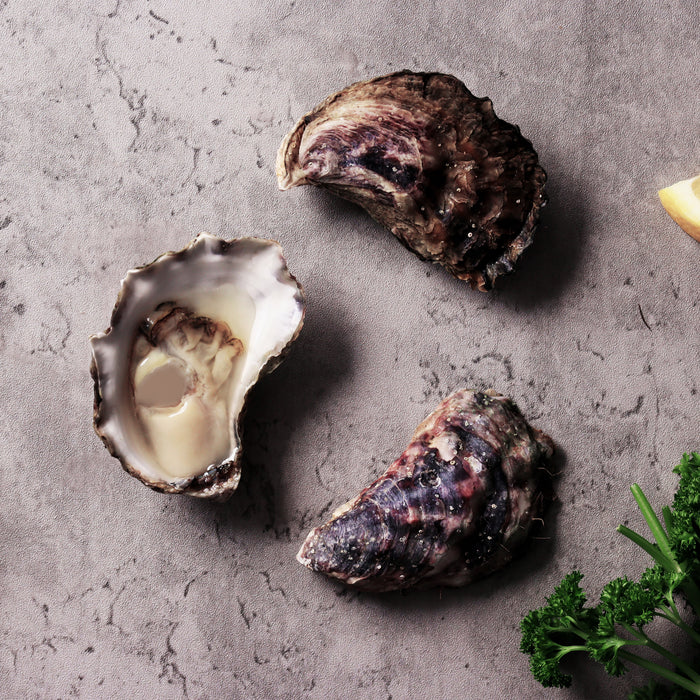 Live Wapengo Sydney Rock Oysters Buffet per Dozen