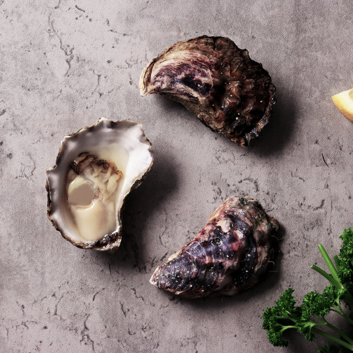 Wapengo Sydney Rock Oysters Shucked per Dozen