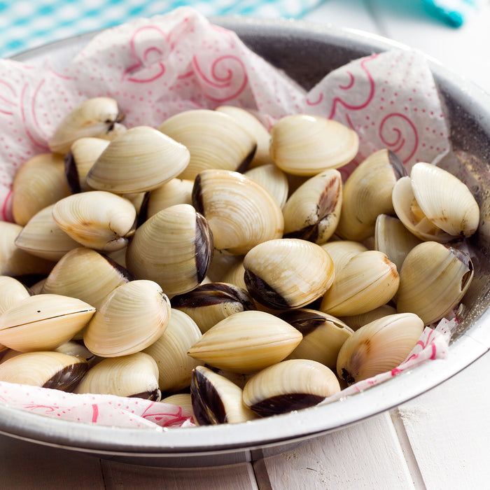 White Clams Whole (Frozen) per kg