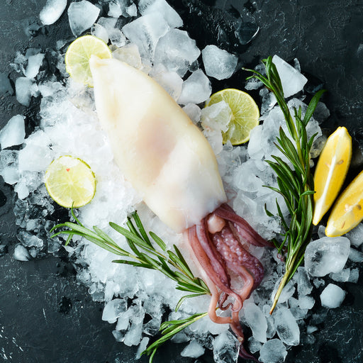 USA Whole Calamari per 1kg