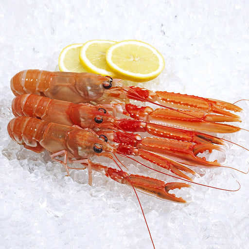 Large NZ Scampi