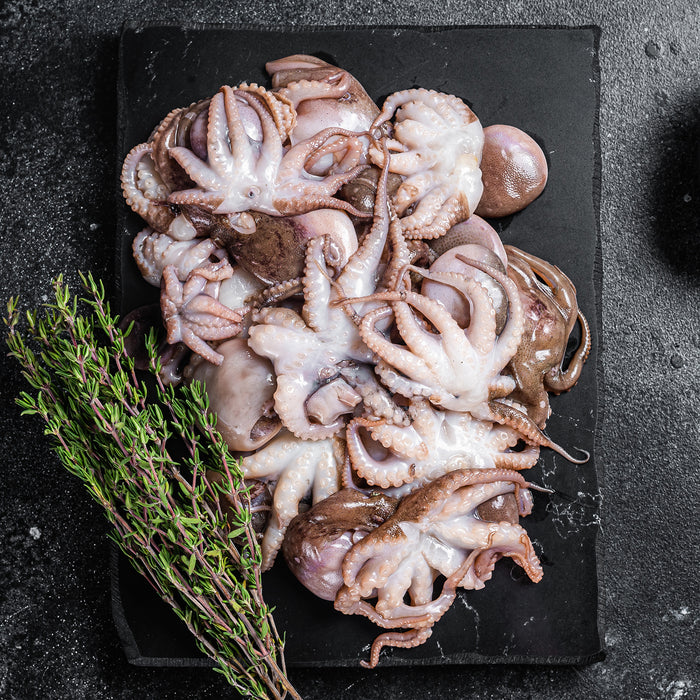 Fresh Wild-Caught Baby Octopus per kg