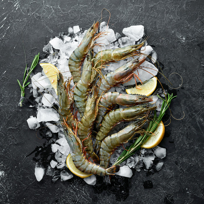 Large U16/20 Raw Tiger Prawns (Frozen) per kg