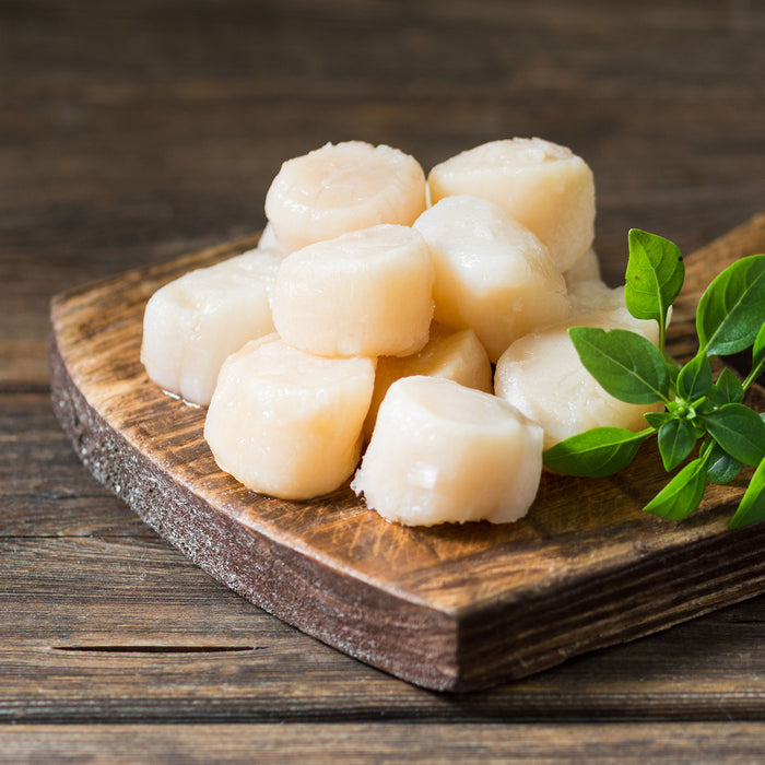 Scallop Meat (Small) Frozen per kg