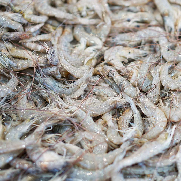 Australian School Prawns per kg (Frozen)