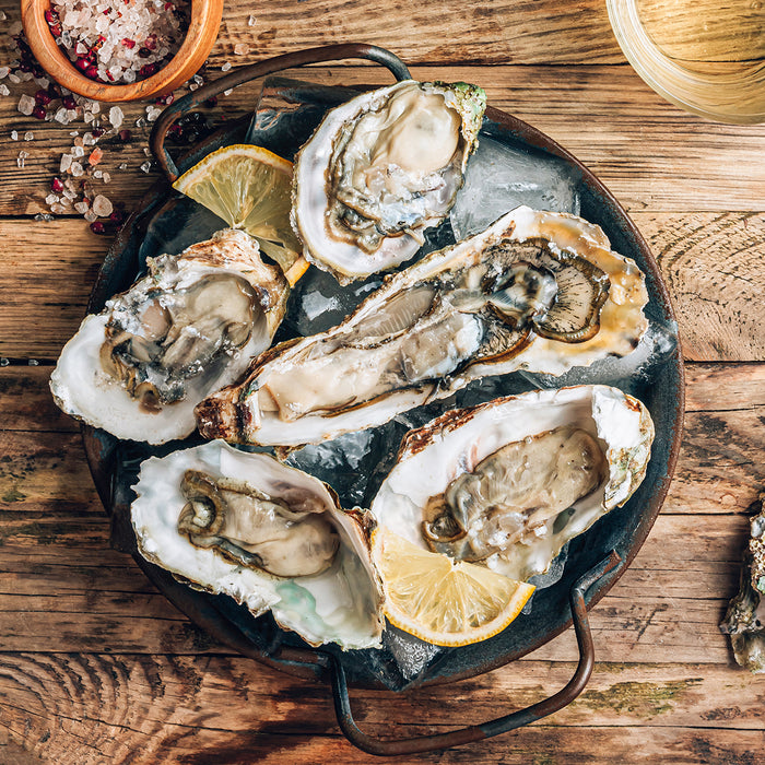 Premium Sydney Rock Oysters Shucked per dozen