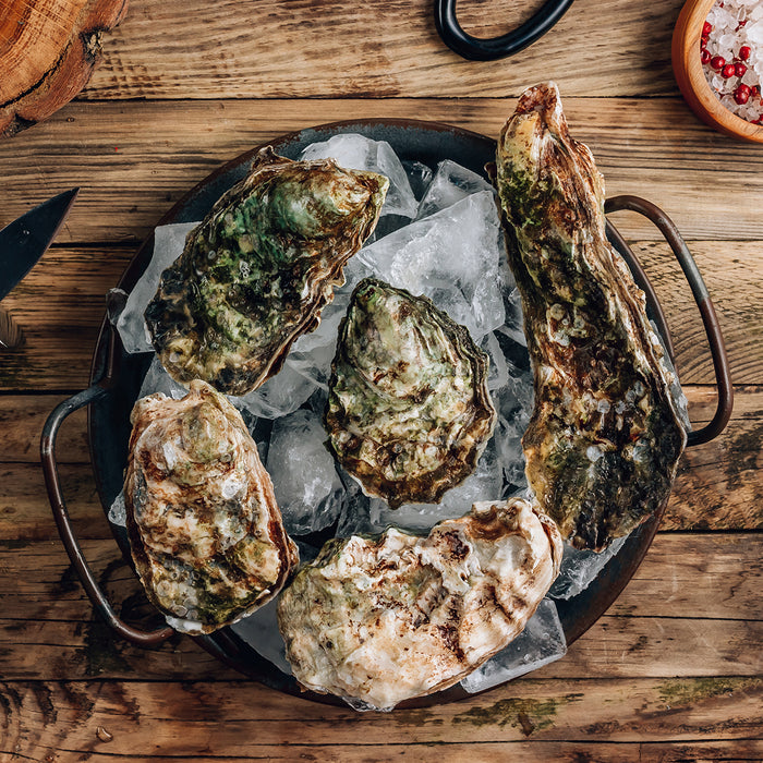 Live Premium Sydney Rock Oysters per dozen