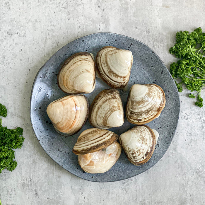 Jumbo NZ Cloudy Bay Storm Shell Clams 1kg
