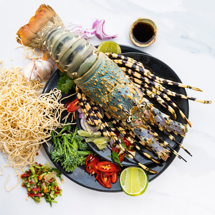 fresh Australian Tropical Rock Lobster Sashimi Grade