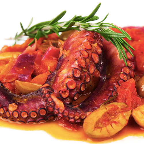 Octopus in Tomato Sauce