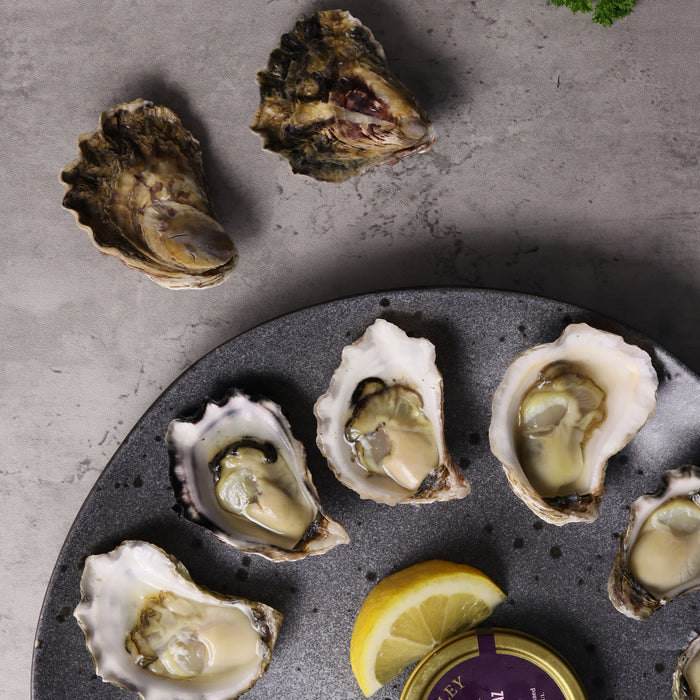 The Search is Over: Australia’s Best Oysters