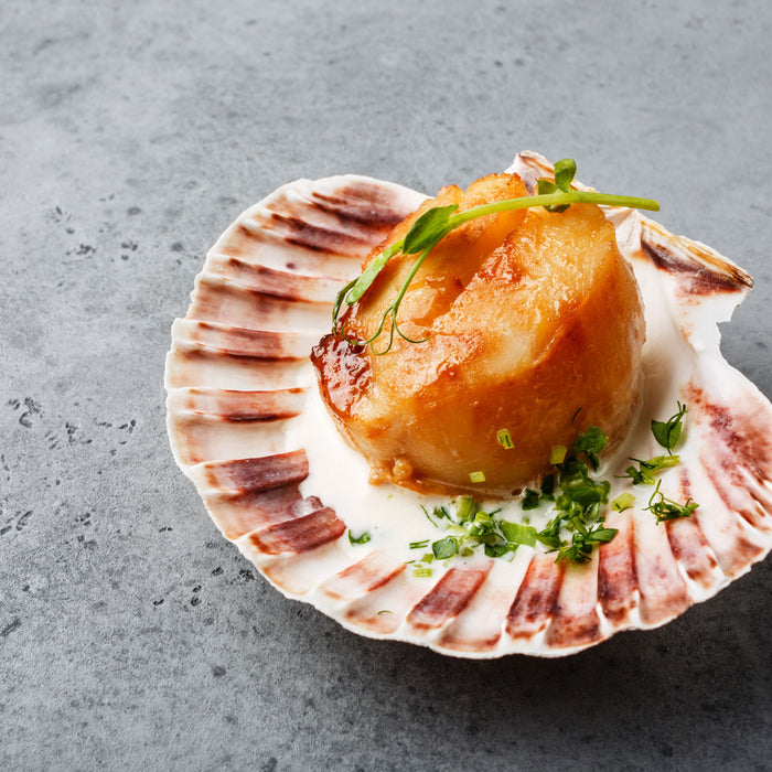 All Your Need To Know About Scallop Sizing | FishMe! Seafood Delivery