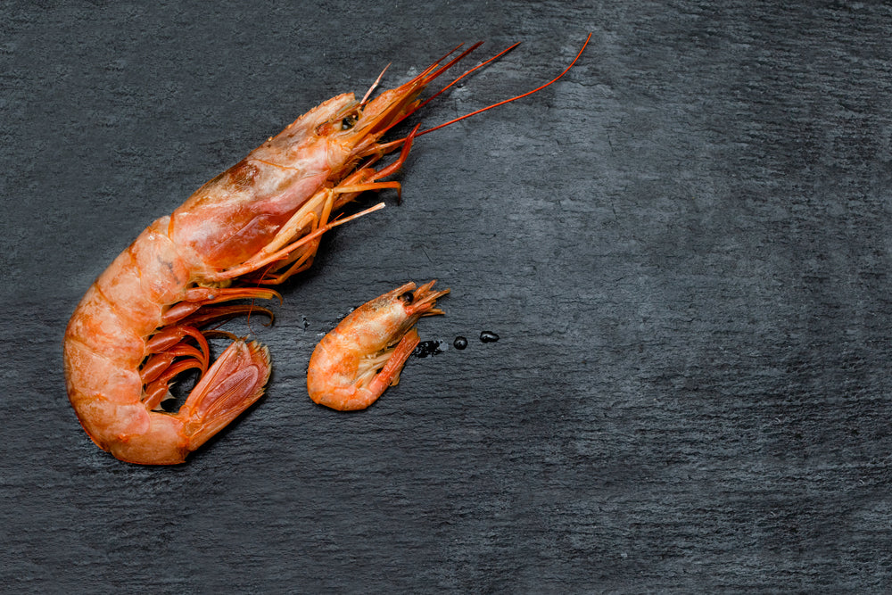 How to Pick the Perfect Sized Prawn