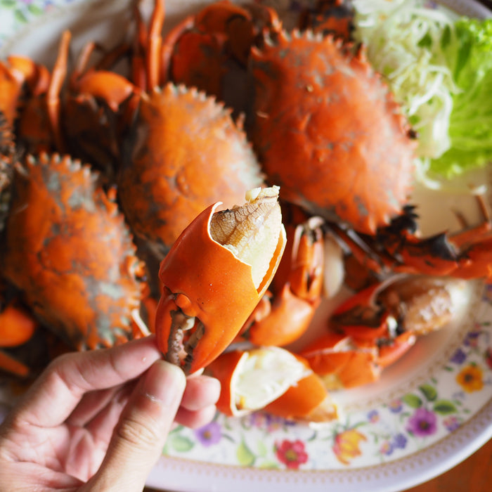 How to prepare/clean a live mud crab for cooking