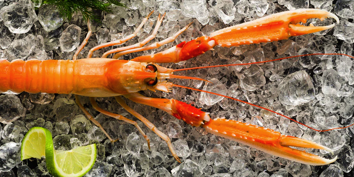 Buy Scampi - Order Seafood Online Online - Same Day Delivery | FishMe ...