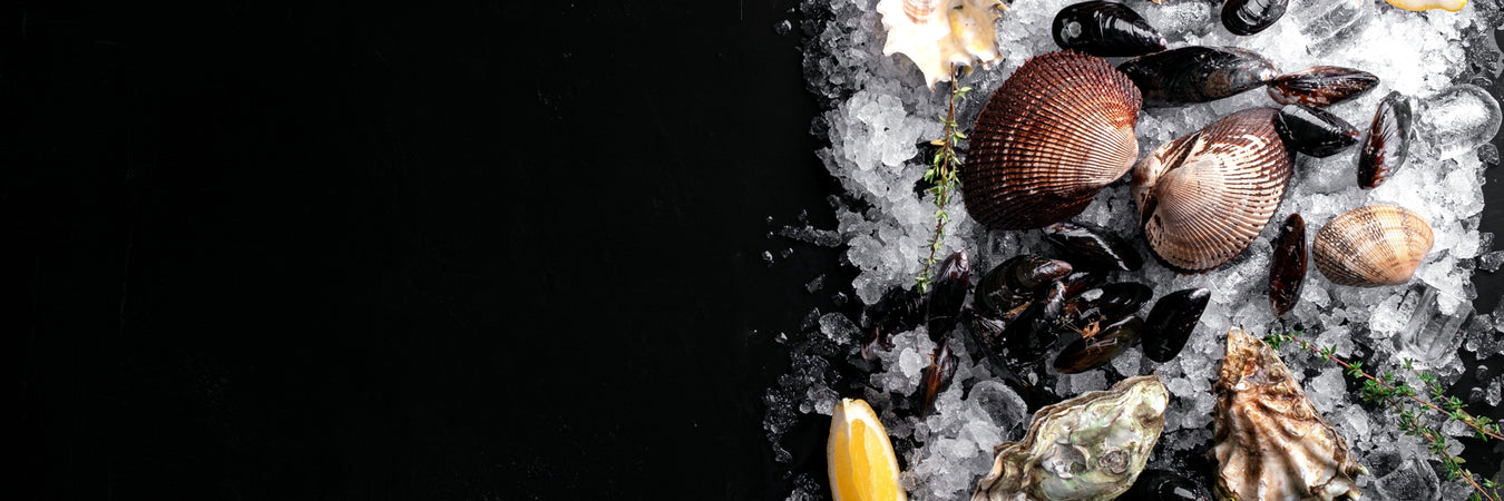 Shellfish banner with clams, mussels, oysters