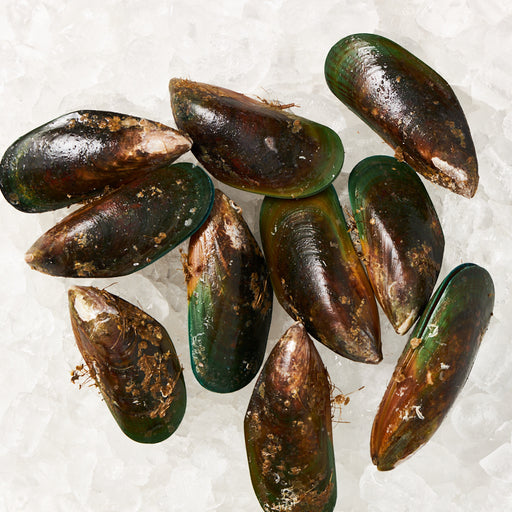 Large NZ Green Shelled Mussels per 1kg (Frozen)