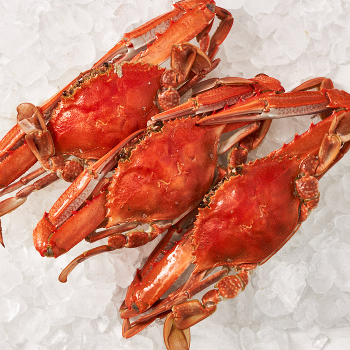Medium QLD Blue Swimmer Crabs Cooked 250g per piece