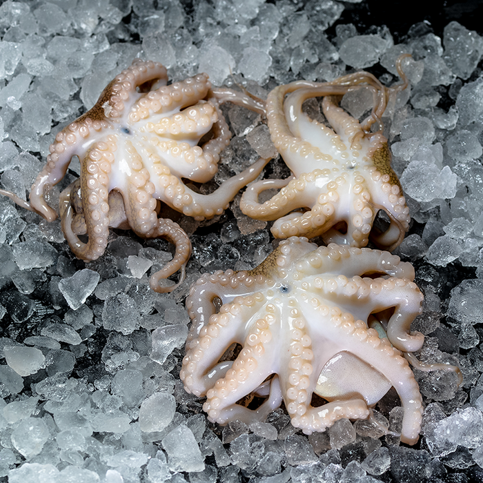 Wild-Caught Baby Octopus (Frozen) per kg
