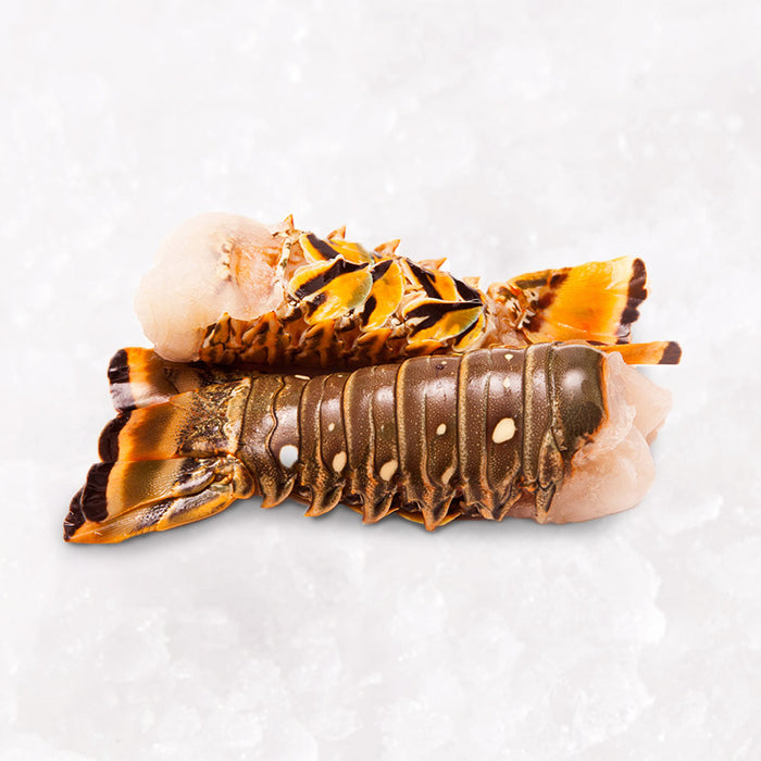 WA Rock Lobster Tails (Frozen) per kg