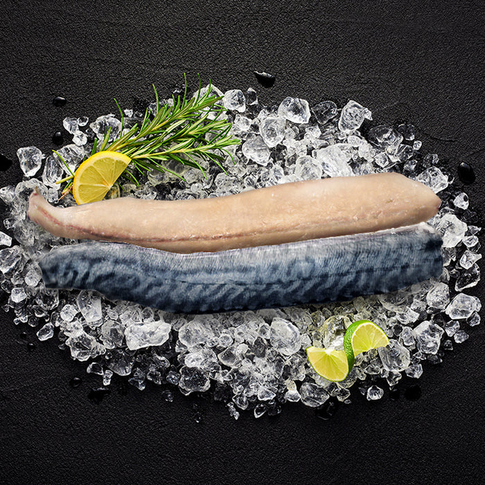 Spanish Mackerel Fillet Skin-On per kg (Frozen)