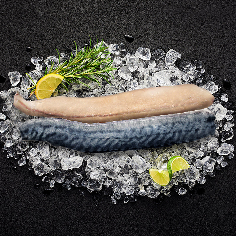 Spanish Mackerel Fillet SkinOn Same Day Delivery FishMe — fishme