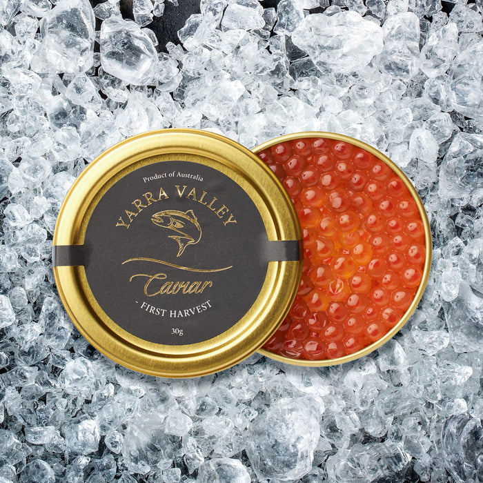 a tin can of Bespoke Export Grade "First Harvest" Salmon Caviar 