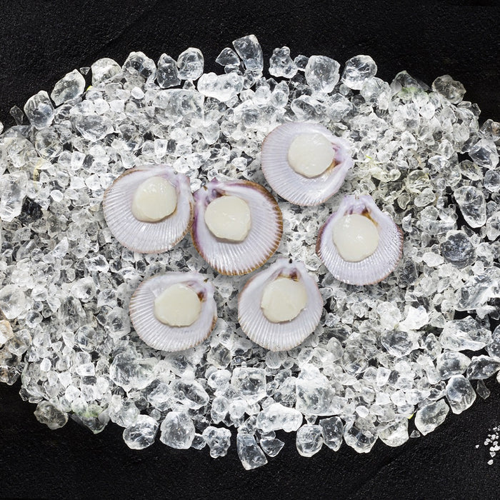 Half-Shell Roe-off Scallops (Small) per dozen